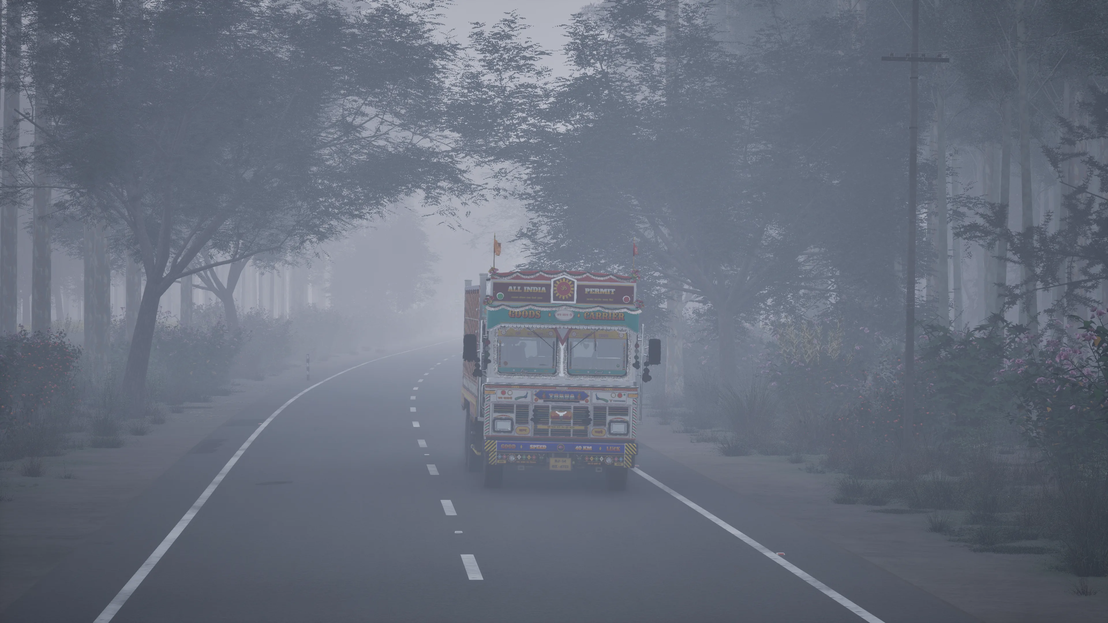 A truck coming out of fog on a road lined with tall trees